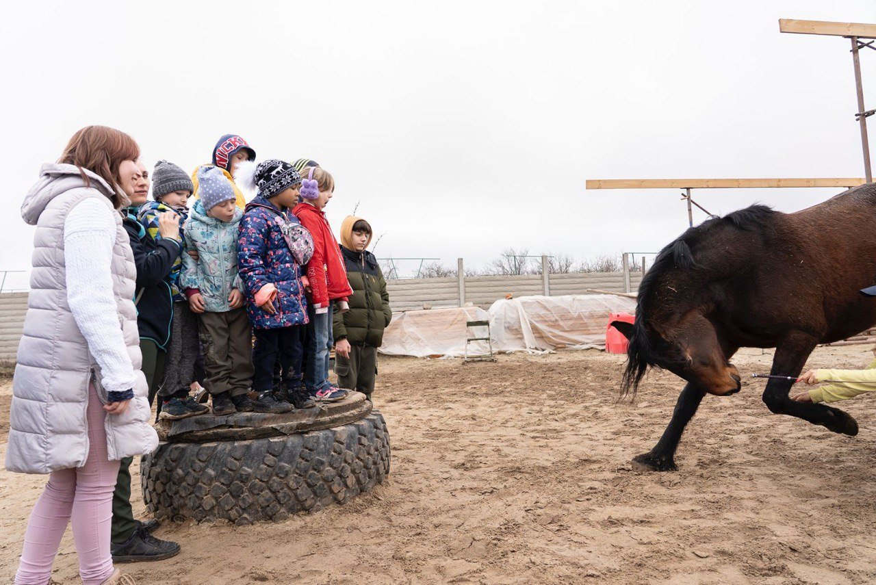 Faites un don pour faire bénéficier aux enfants ukrainiens d'une séance d'équithérapie.